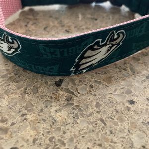 Philadelphia eagles pet collar pink inside Could be  for a female pet New